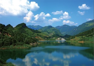 重慶商標(biāo)注冊(cè)流程及材料？重慶商標(biāo)注冊(cè)所需費(fèi)用？