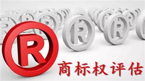 商品出口是否構(gòu)成商標意義上的使用？