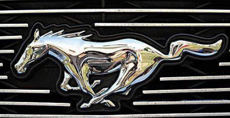 以動物圖案作為LOGO的汽車，你能認出幾個？又能養(yǎng)得起多少
