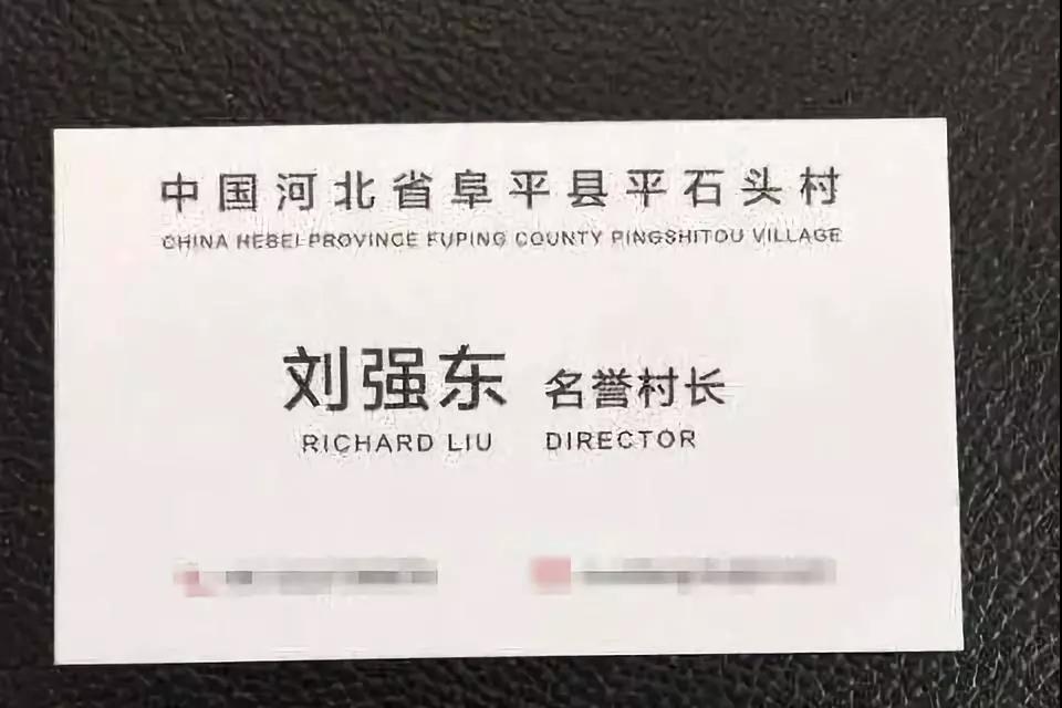 2017年11月28日，劉強東受聘為河北阜平縣平石頭村“名譽村長”。