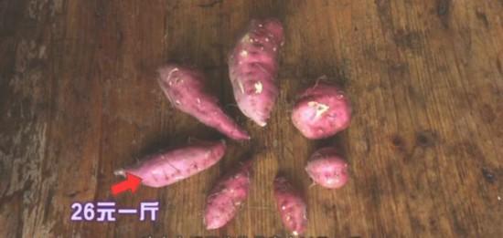 地瓜做出商標(biāo)，第一年賺20萬！訣竅有這幾點(diǎn)