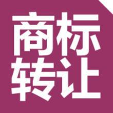 商標(biāo)轉(zhuǎn)讓全攻略：如何選擇商標(biāo)轉(zhuǎn)讓交易網(wǎng)站？