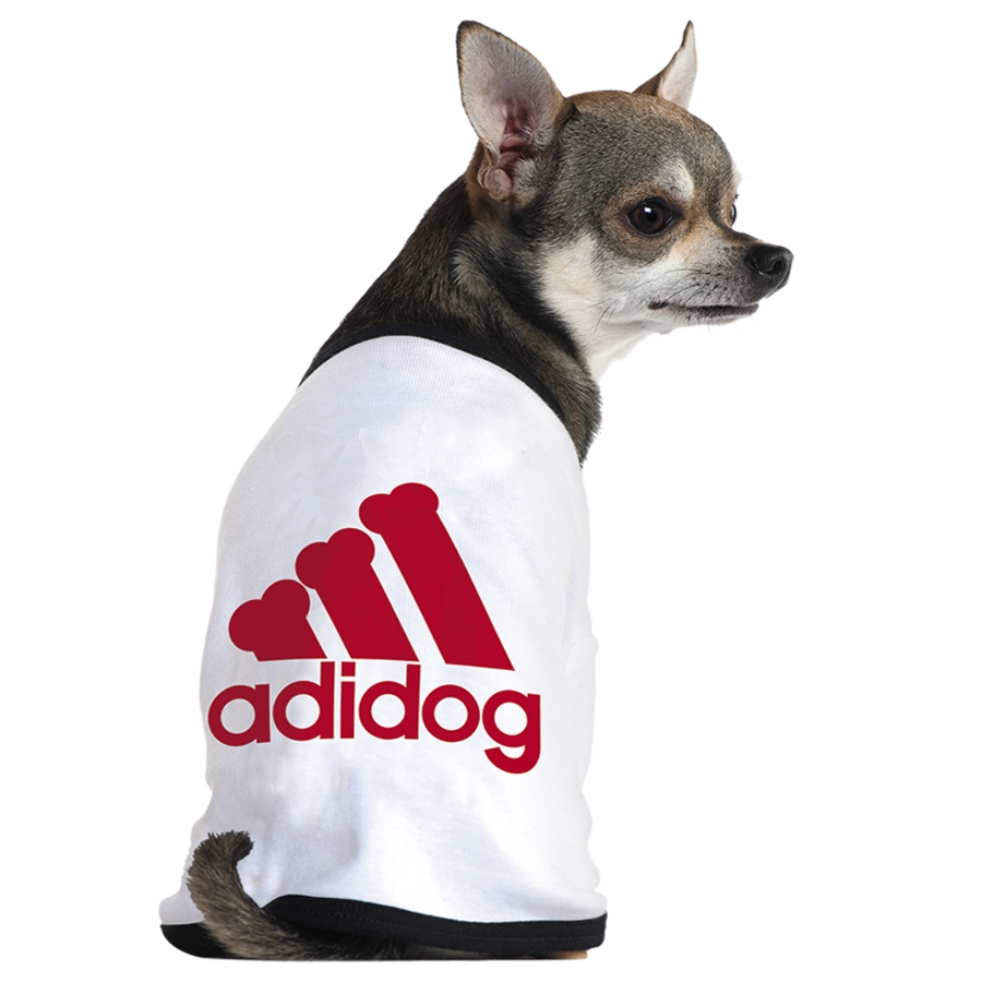 Adidas還有寵物服裝支線Adidog？ 其實(shí)是商標(biāo)侵權(quán)