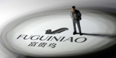 2.27億！富貴鳥商標(biāo)+專利打八折二次拍賣，誰來接盤？