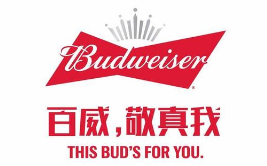 假冒 “百威”商標(biāo)罐裝啤酒，廣西玉林興業(yè)縣法院審理首起侵犯知識產(chǎn)權(quán)罪案件