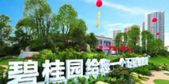 五星級(jí)的家”字樣，被認(rèn)定屬于不得作為商標(biāo)使用的標(biāo)志