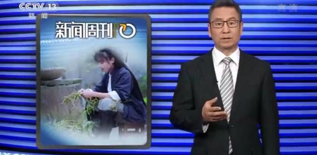月收入千萬，背后公司早已為網(wǎng)紅李子柒注冊百余件商標