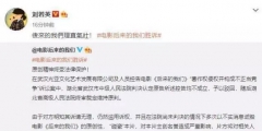 《后來的我們》侵權風波宣判！劉若英：后來的我們理直氣壯