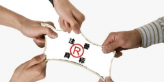 品牌創(chuàng)建中的商標(biāo)命名需要注意什么？
