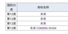 蔚來”為什么不用“未來”，商標(biāo)是否被他人注冊(cè)
