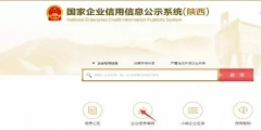 企業(yè)年報納稅總額怎么填寫(企業(yè)工商年報完整流程)