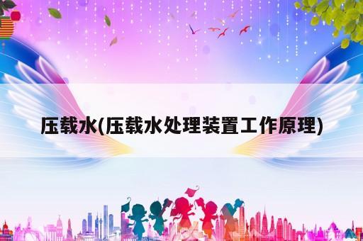 壓載水(壓載水處理裝置工作原理)