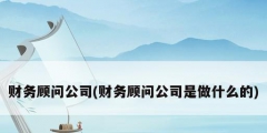 財(cái)務(wù)顧問公司(財(cái)務(wù)顧問公司是做什么的)