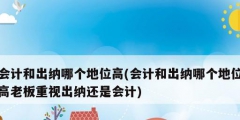 會計和出納哪個地位高(會計和出納哪個地位高老板重視出納還是會計)
