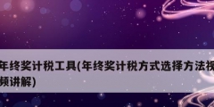 年終獎(jiǎng)計(jì)稅工具(年終獎(jiǎng)計(jì)稅方式選擇方法視頻講解)