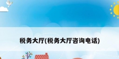 稅務(wù)大廳(稅務(wù)大廳咨詢(xún)電話(huà))