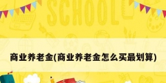 商業(yè)養(yǎng)老金(商業(yè)養(yǎng)老金怎么買最劃算)