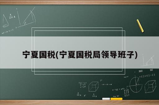 寧夏國稅(寧夏國稅局領(lǐng)導(dǎo)班子)