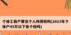 個(gè)體工商戶(hù)要交個(gè)人所得稅嗎(2023年個(gè)體戶(hù)45萬(wàn)以下免個(gè)稅嗎)