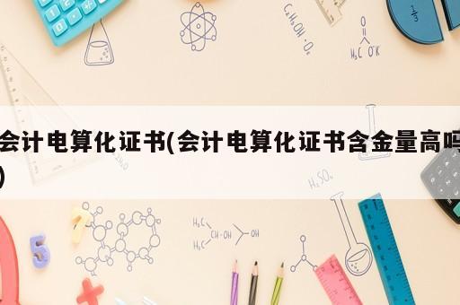 會(huì)計(jì)電算化證書(會(huì)計(jì)電算化證書含金量高嗎)