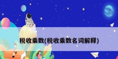稅收乘數(shù)(稅收乘數(shù)名詞解釋)