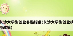 長(zhǎng)沙大學(xué)生創(chuàng)業(yè)補(bǔ)貼標(biāo)準(zhǔn)(長(zhǎng)沙大學(xué)生創(chuàng)業(yè)扶持政策)