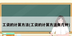 工資的計算方法(工資的計算方法有幾種)