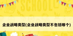 企業(yè)戰(zhàn)略類型(企業(yè)戰(zhàn)略類型不包括哪個(gè))