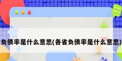 負債率是什么意思(各省負債率是什么意思)