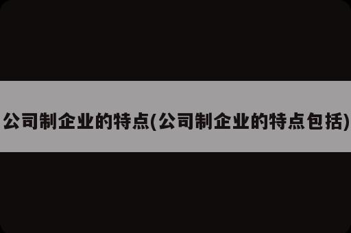 公司制企業(yè)的特點(公司制企業(yè)的特點包括)