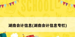 湖南會(huì)計(jì)信息(湖南會(huì)計(jì)信息專(zhuān)欄)