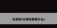 社保稅(社保稅銀是什么)